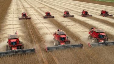La producción de granos de Brasil caerá 6% respecto a 2017