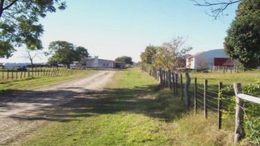 El segundo semestre también traería buenas noticias para el mercado inmobiliario rural