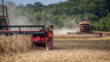 Empeora la previsión sobre la cosecha de granos en Brasil