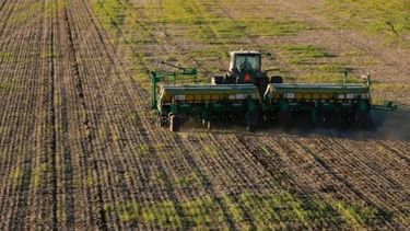 La falta de agua afecta la siembra santafesina de trigo