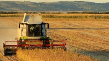 Esperan una recuperación del campo en 2019
