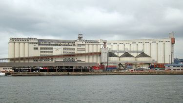 Desde Brasil dicen que comercializadora argentina no embarcará trigo en enero