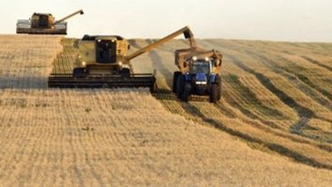 Brasil compra 2,5 millones de toneladas de trigo argentino