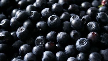 Productores de arándanos a favor de acuerdo entre el Mercosur y la Unión Europea