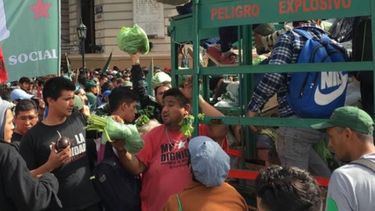 Ruralistas realizarán "bananazo" en Plaza de Mayo