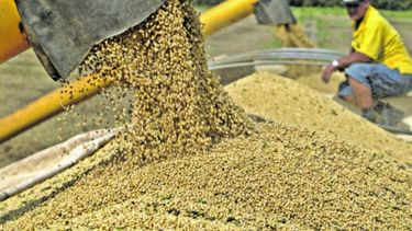 El Gobierno todavía tiene cuentas pendientes con los sojeros