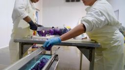 PYMES agroalimentarias: destacan el alcance del programa "Sumar valor"