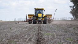 Las actividades de siembra de la soja temprana cubrieron una superficie de 157.500 hectáreas.