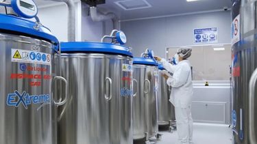 La experiencia de la compañía en el tratamiento del problema.