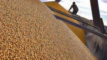 La molienda de granos avanzó más del 7% en los primeros nueve meses del año