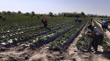 El Renatre fijó la prestación por desempleo