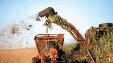 Agricultores de Brasil, víctimas de productores insolventes