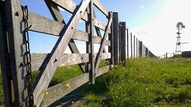 La actualización del Impuesto Inmobiliario Rural.
