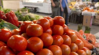 En Santa Fe dicen que no faltan tomates y denuncian altos costos