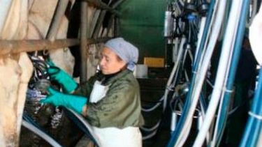 Tamberos reclaman la emergencia económica para el sector