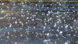 Declaran emergencia agropecuaria en ciertas zonas de Misiones