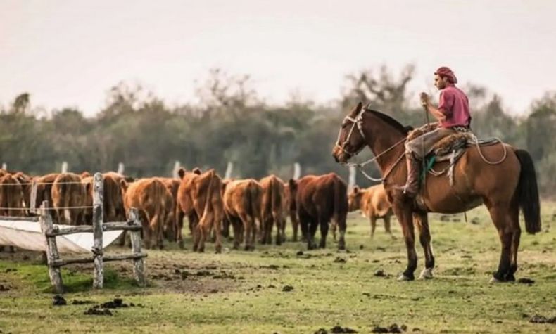 Las remuneraciones para los trabajadores del campo.