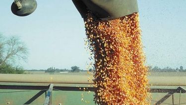 Petróleo, granos, la economía argentina y la pandemia