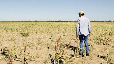 Emergencia agropecuaria en Jujuy, Neuquén y Salta