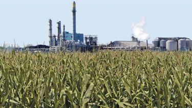 Autorizaron nuevos aumentos para el bioetanol