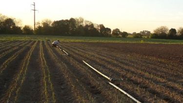 El sector agropecuario se queja de la tasas impositivas