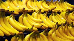 Será obligatorio el uso del DTV-e para transportar banana en fresco desde octubre