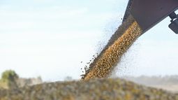 El impacto de la medida en el campo.