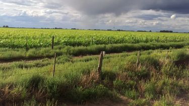Lluvias abundantes para el campo llegarán en abril