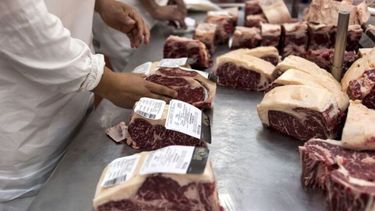 Finalmente se reabrió la exportación de carne a China