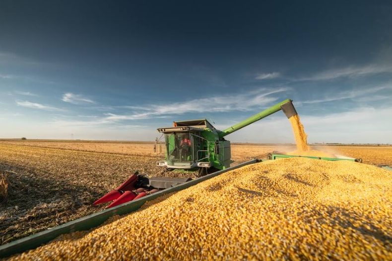 Buenas noticias para el campo argentino.