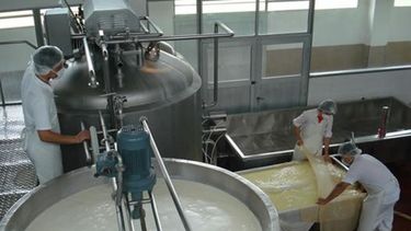 La lechería argentina seguirá sufriendo golpes en el 2015