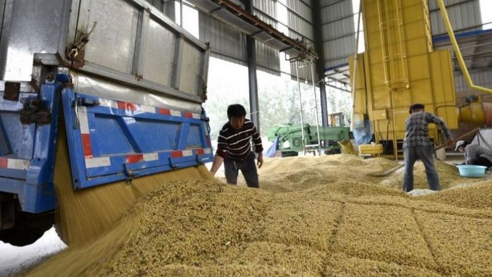 Récord para las importaciones de soja en China