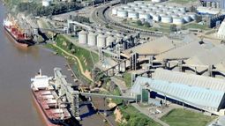 La actividad agroexportadora generó un alza de 32% en el ingresos de divisas