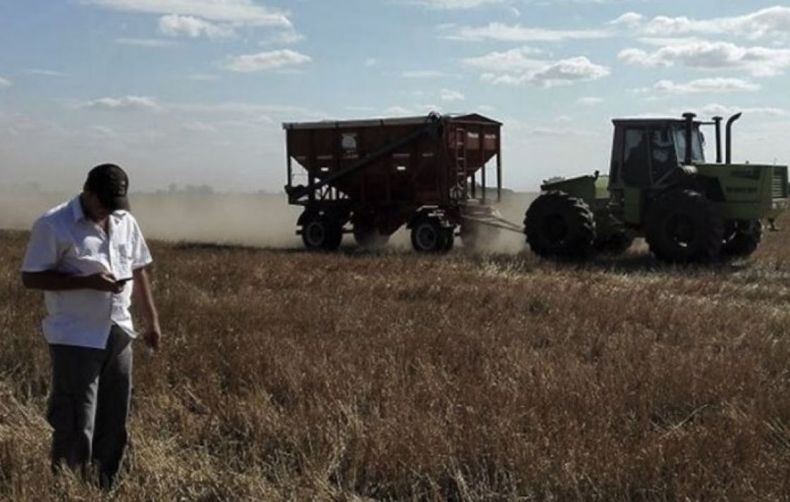 Suspenden nuevamente los pagos de compensaciones a productores
