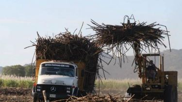 La zafra tucumana se pondrá en marcha