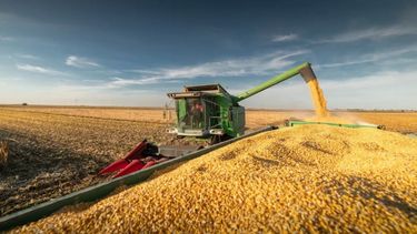 Ruralistas deberán informar dos veces al año su producción de granos