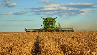 En 2021, el Gobierno se centrará en la agroindustria para obtener dólares