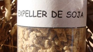 Recomiendan a agropymes nacionales plegarse a la globalización