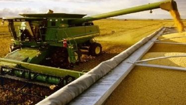 La liquidación de divisas de noviembre fue una de las peores en diez años