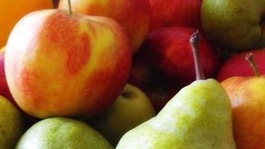 La emergencia económica en peras y manzanas seguirá un año más