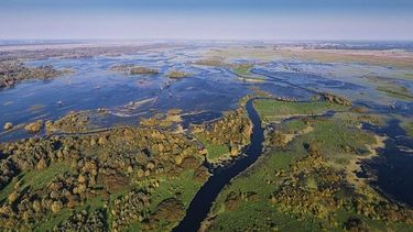 INTA proyecta herramientas para el uso agroindustrial sostenible de los humedales