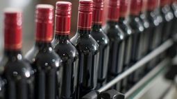 Buscan aumentar las exportaciones de vino a países centroamericanos