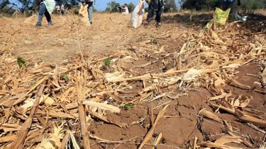 La Comisión de Emergencia Agropecuaria se reunirá la semana que viene