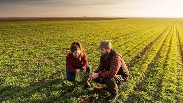 Las perspectivas de la campaña agrícola y las oportunidades que abre la creciente demanda mundial de alimentos.