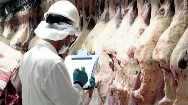 La Mesa de Enlace busca el apoyo de gobernadores de provincias productoras de carne