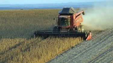 Afirman que el nuevo Gobierno impondrá impuestos diferenciados para el campo