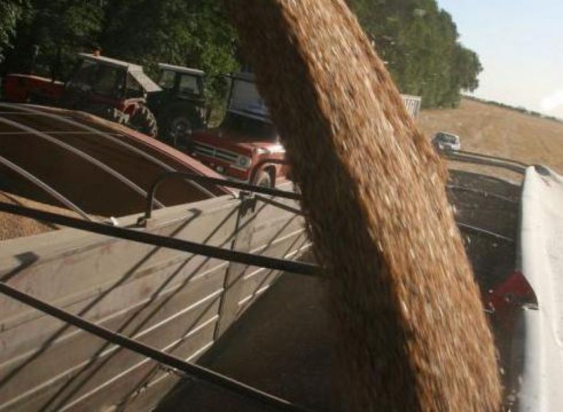 El Gobierno decidió aplicar la Ley de Abastecimiento por la falta de trigo