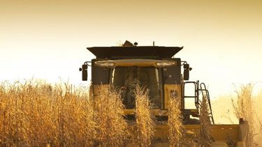 Crece la sequía en varios estados agrícolas de EE.UU.