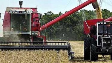 Pequeños productores recibirán compensaciones por 245 millones de pesos