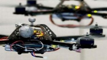 Utilizarán drones para plantar mil millones de árboles